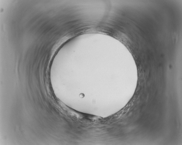 X0000059850289200511181545