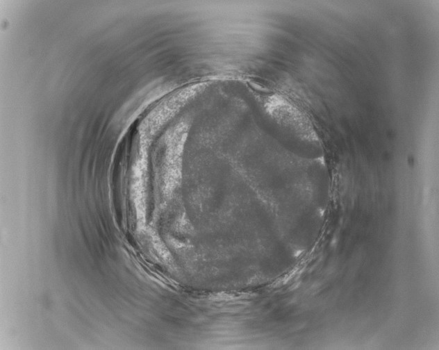 X0000059850290200511181545