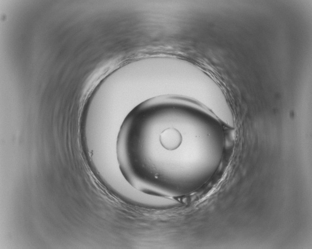 X0000059850293200511181545