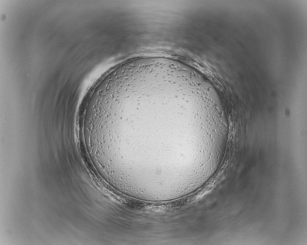 X0000059850294200511181545