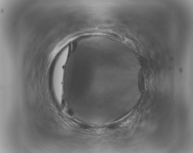 X0000059850295200511181545