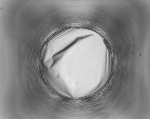 X0000059850297200511181545