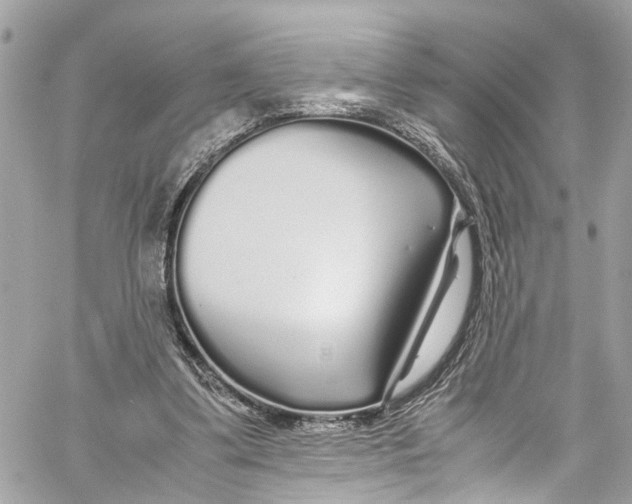 X0000059850299200511181545