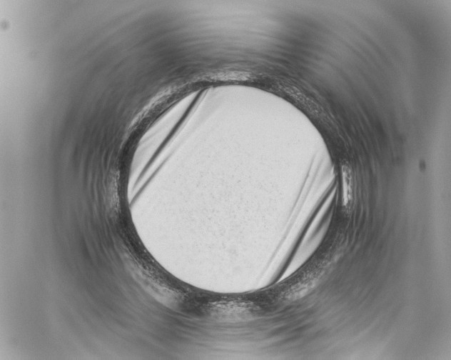 X0000059850300200511181545