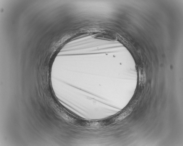 X0000059850301200511181545