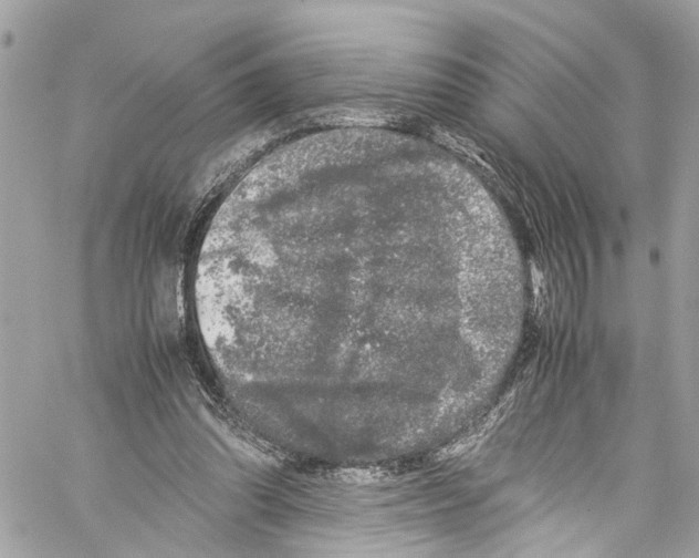 X0000059850302200511181545