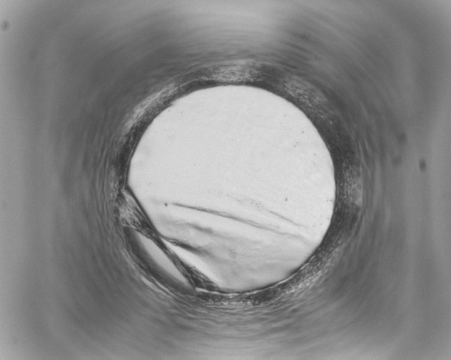 X0000059850303200511181545