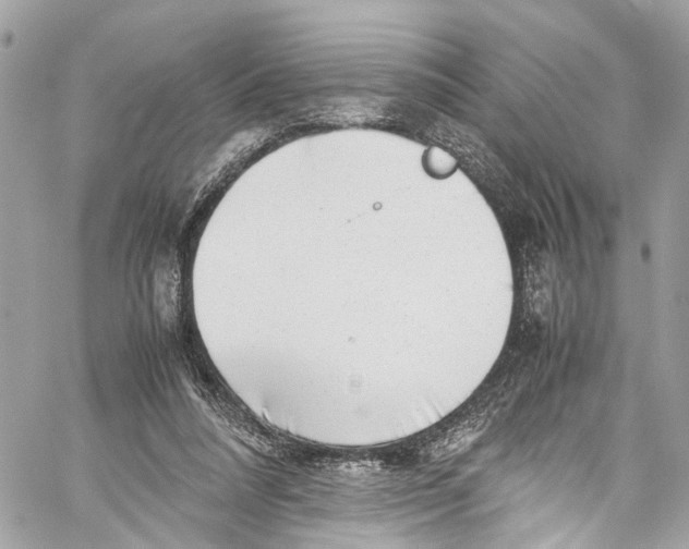 X0000059850304200511181545