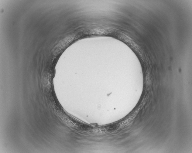 X0000059850305200511181545