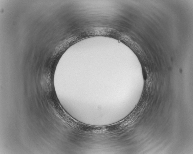 X0000059850306200511181545