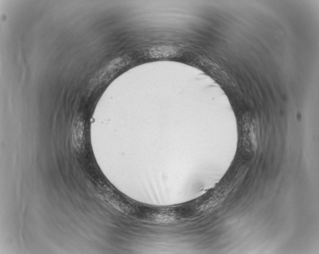 X0000059850308200511181545