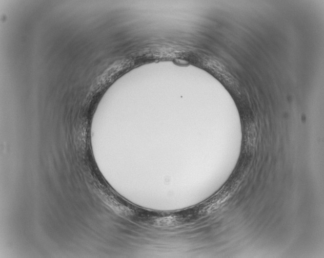 X0000059850309200511181545