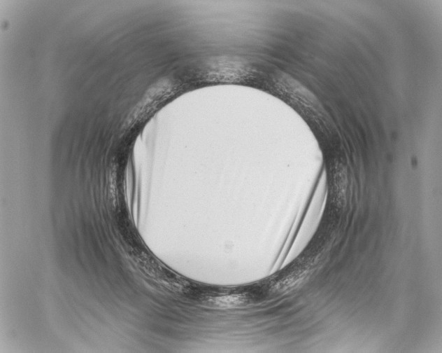 X0000059850312200511181545