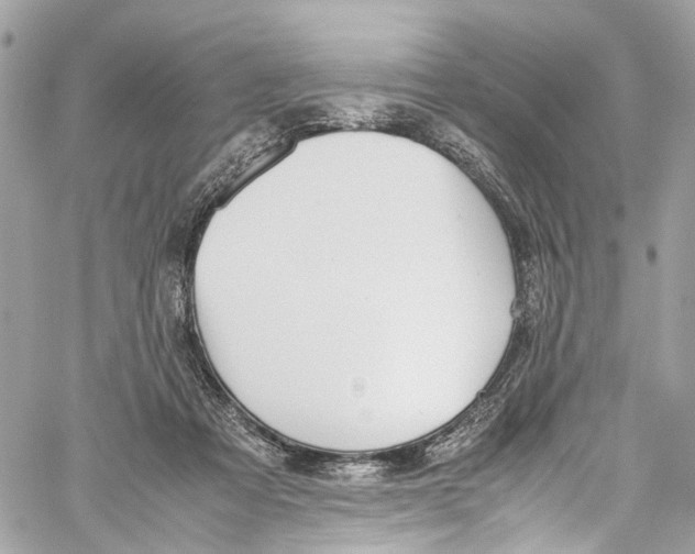 X0000059850313200511181545