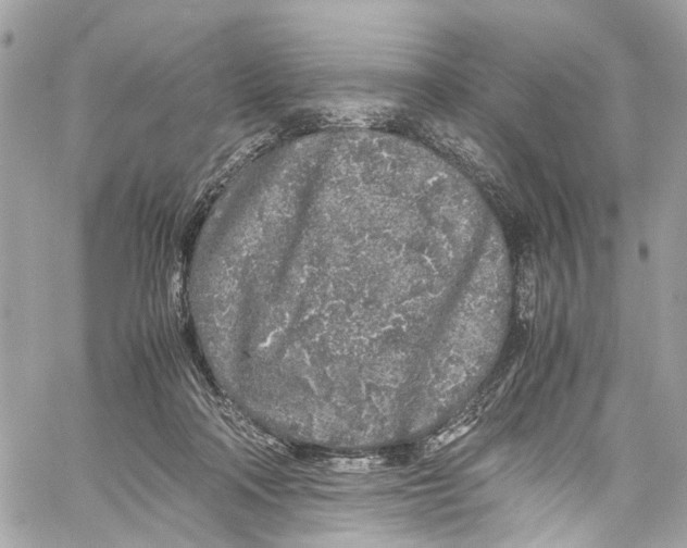 X0000059850314200511181545