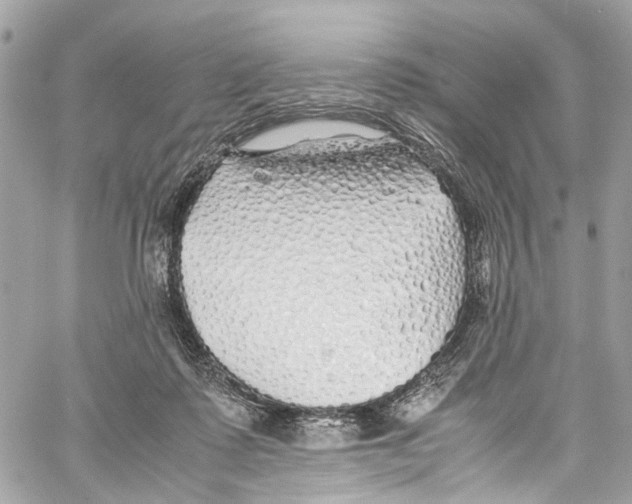 X0000059850315200511181545