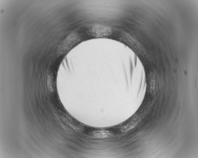 X0000059850316200511181545