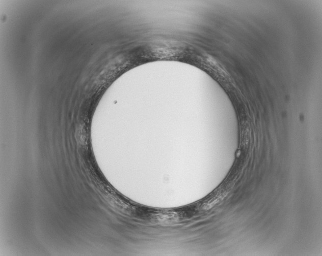 X0000059850317200511181545