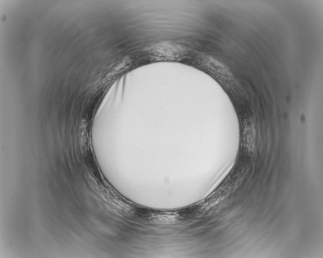 X0000059850318200511181545