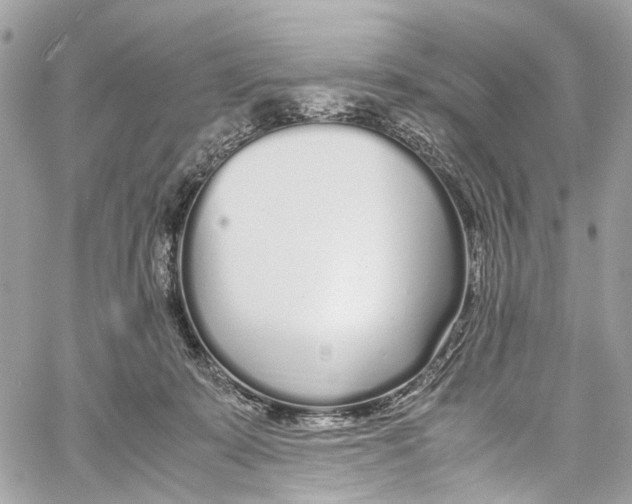 X0000059850319200511181545