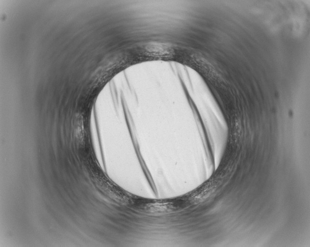 X0000059850320200511181545