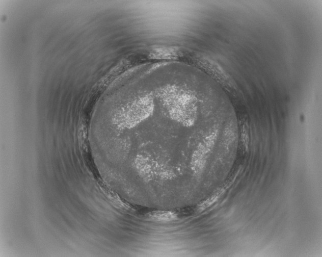 X0000059850322200511181545