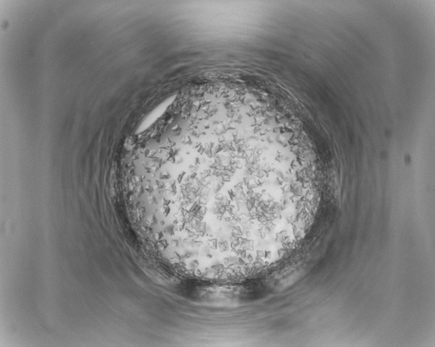 X0000059850323200511181545