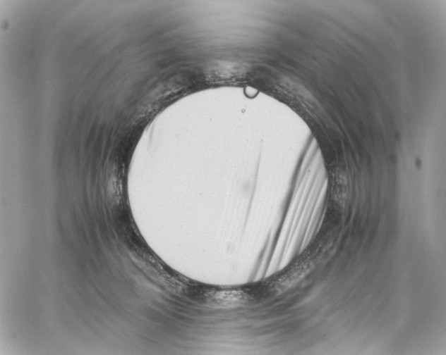 X0000059850324200511181545