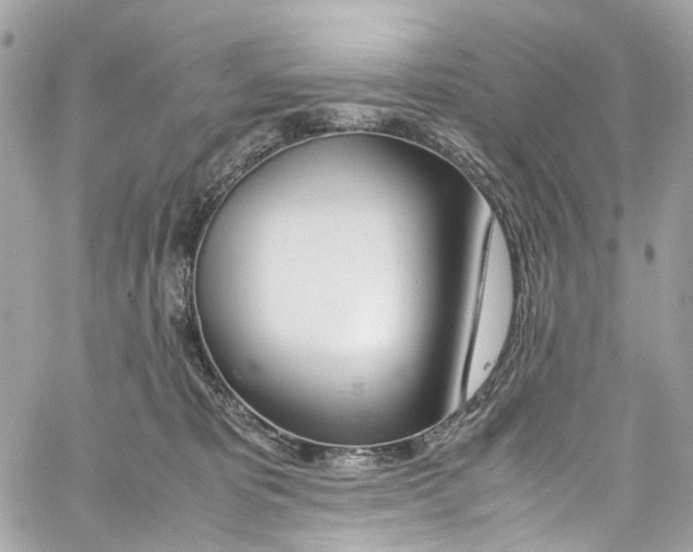 X0000059850325200511181545