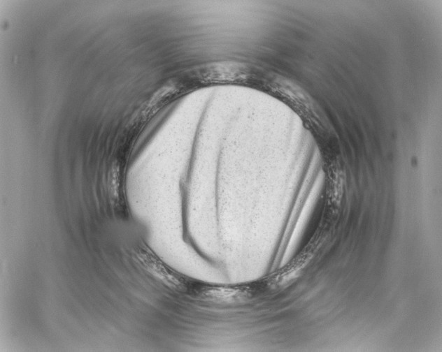 X0000059850326200511181545