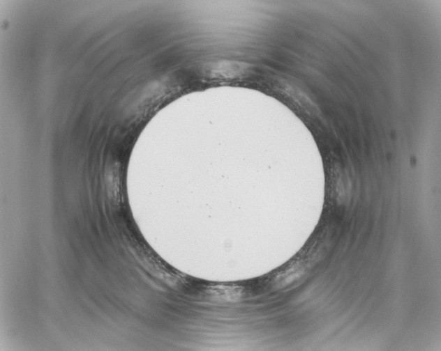 X0000059850328200511181545