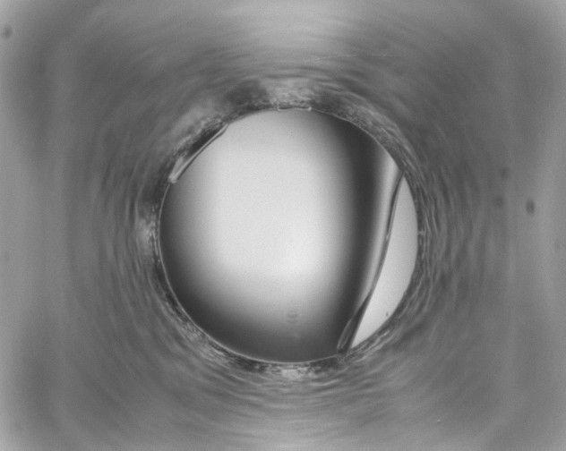 X0000059850329200511181545