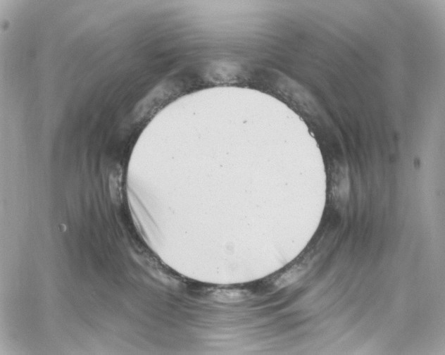 X0000059850332200511181545