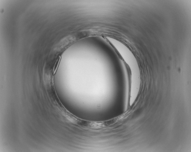 X0000059850333200511181545