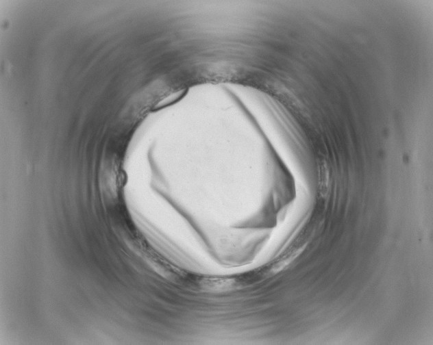 X0000059850334200511181545