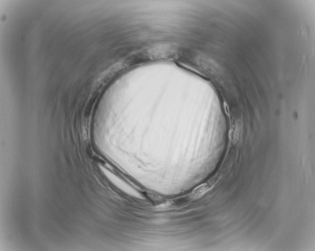 X0000059850335200511181544