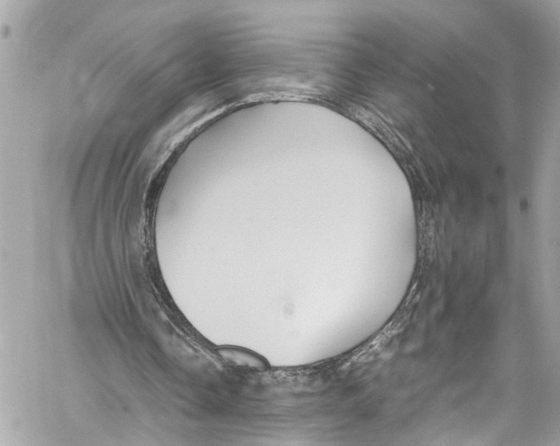 X0000059850338200511181544