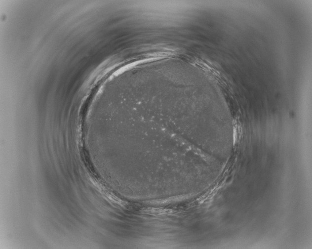 X0000059850339200511181544