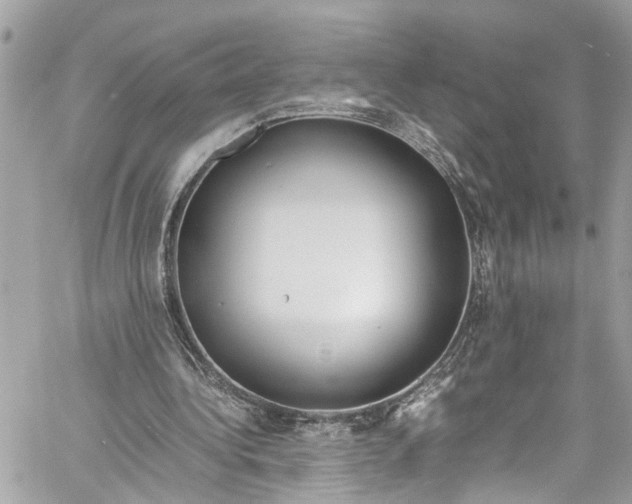 X0000059850340200511181544