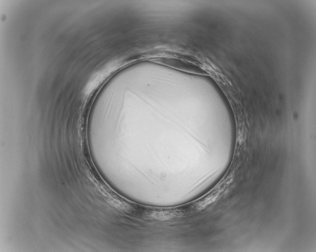 X0000059850341200511181544