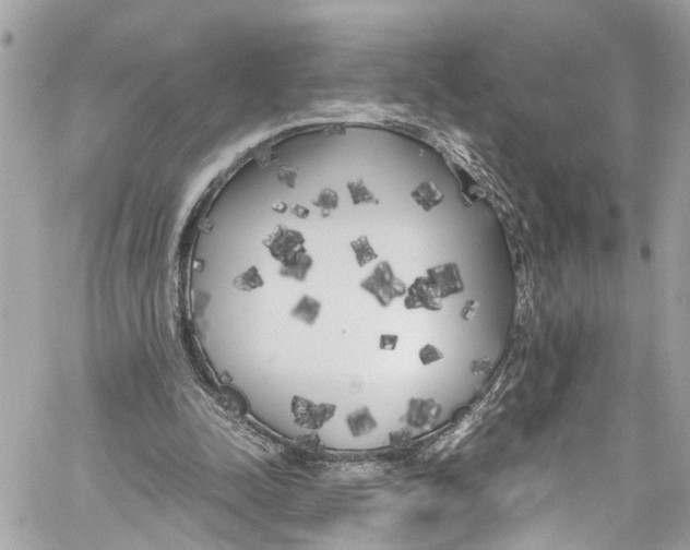 X0000059850342200511181544