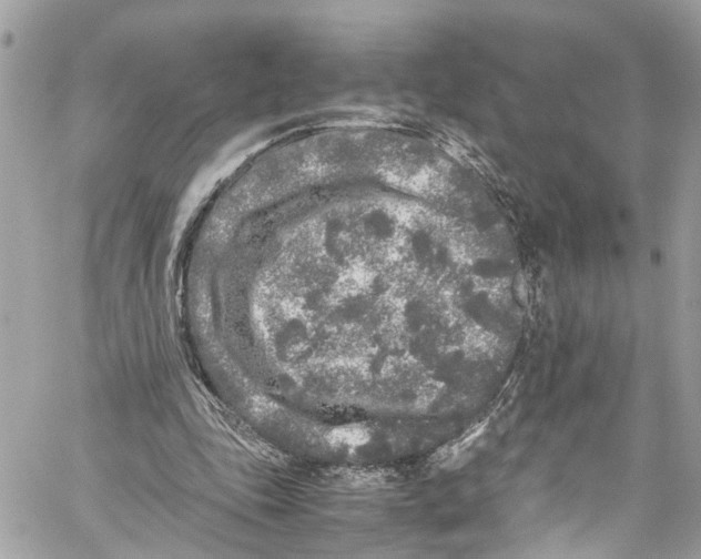 X0000059850343200511181544