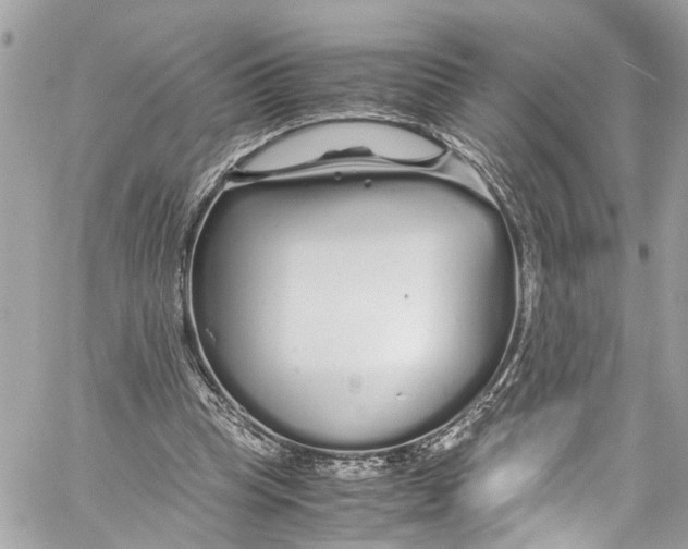 X0000059850345200511181544