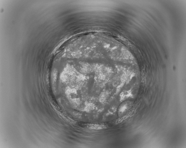 X0000059850347200511181544