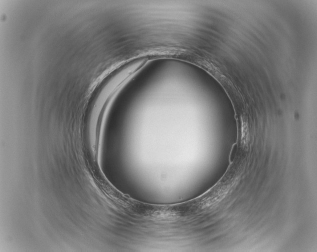 X0000059850348200511181544