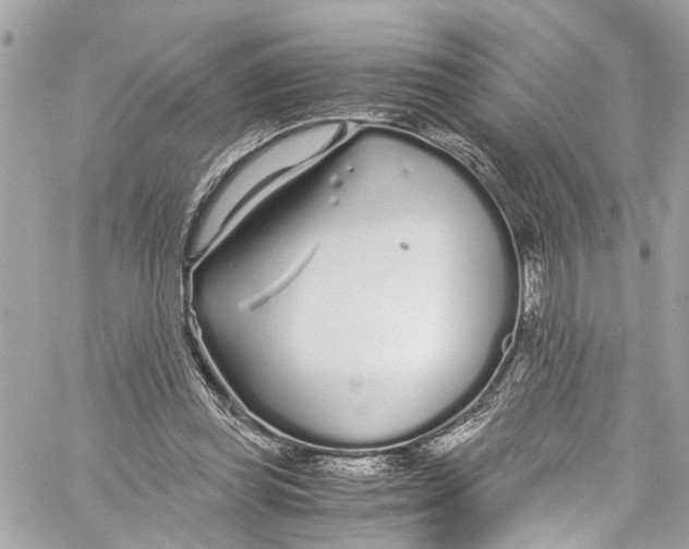 X0000059850349200511181544