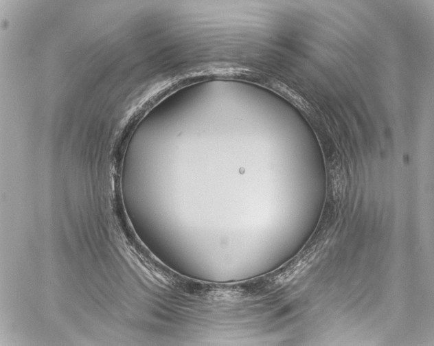 X0000059850350200511181544