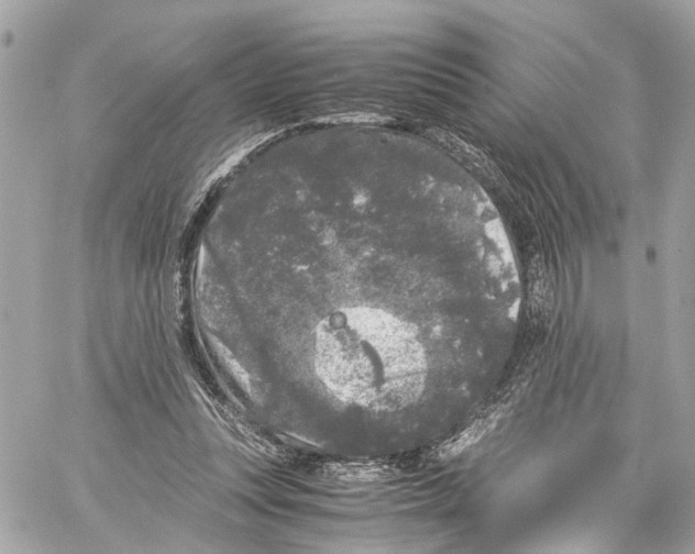 X0000059850351200511181544