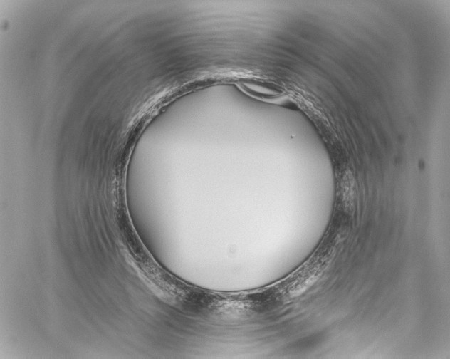 X0000059850352200511181544