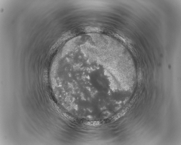 X0000059850353200511181544